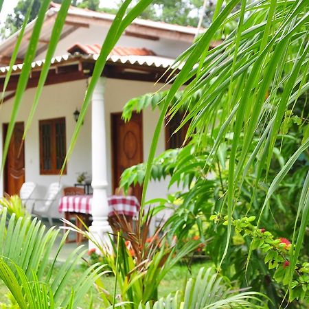 Sigiriya Amenity Home Stay Exteriör bild