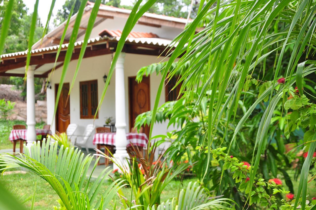 Sigiriya Amenity Home Stay Exteriör bild
