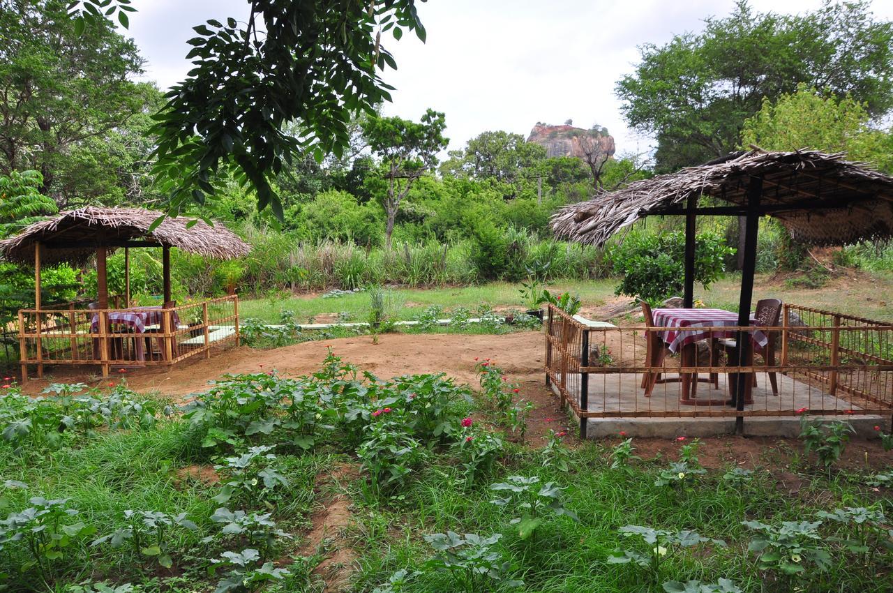 Sigiriya Amenity Home Stay Exteriör bild